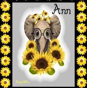 Meet your Posher, Ann